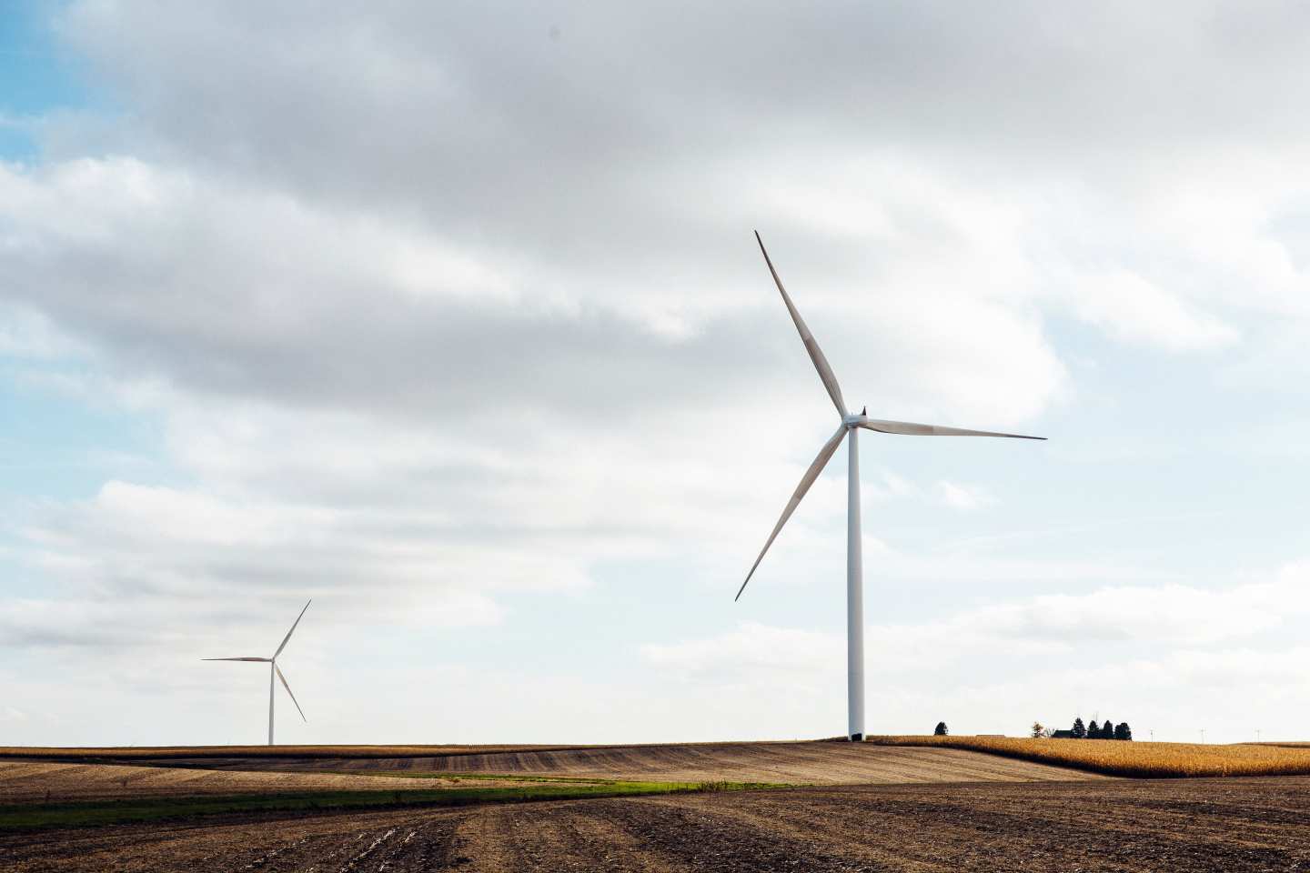 ͩؿh100MWL(fng)½(xing)Ŀ